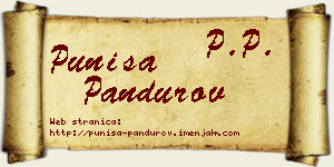 Puniša Pandurov vizit kartica